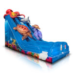 Giant Slides